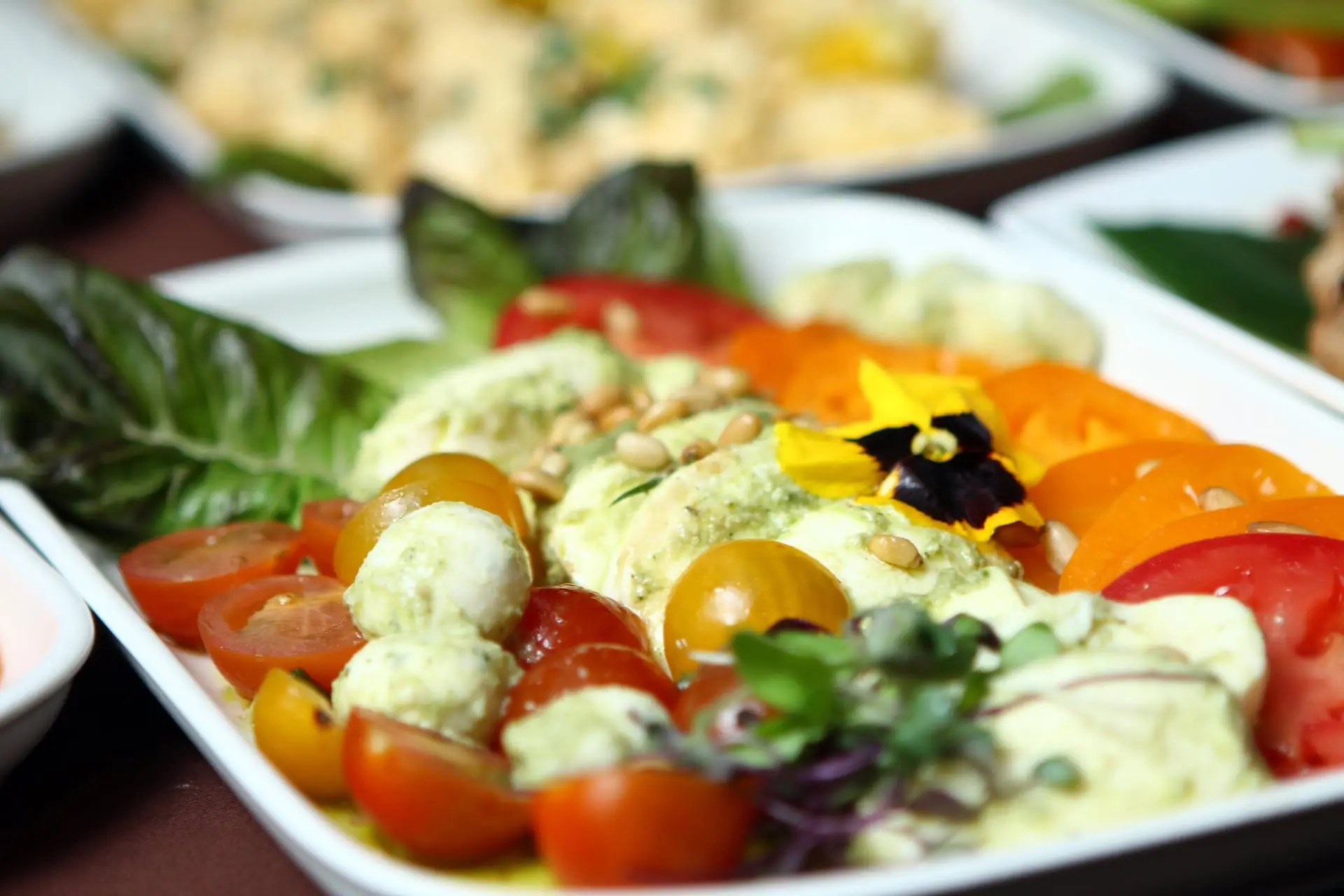 Salade végétarienne aux tomates et mozzarella, distincte d'un menu vegan